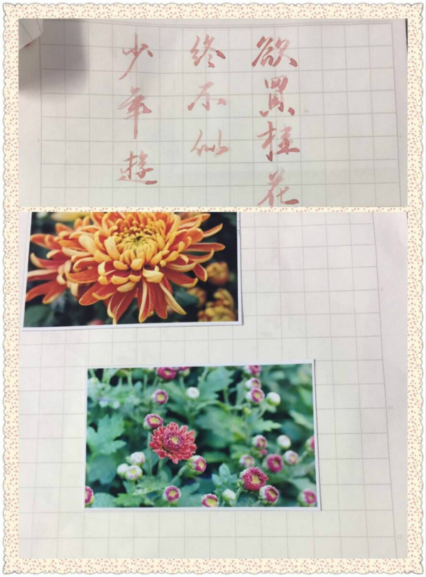 QQ图片20161128000152_meitu_5.jpg